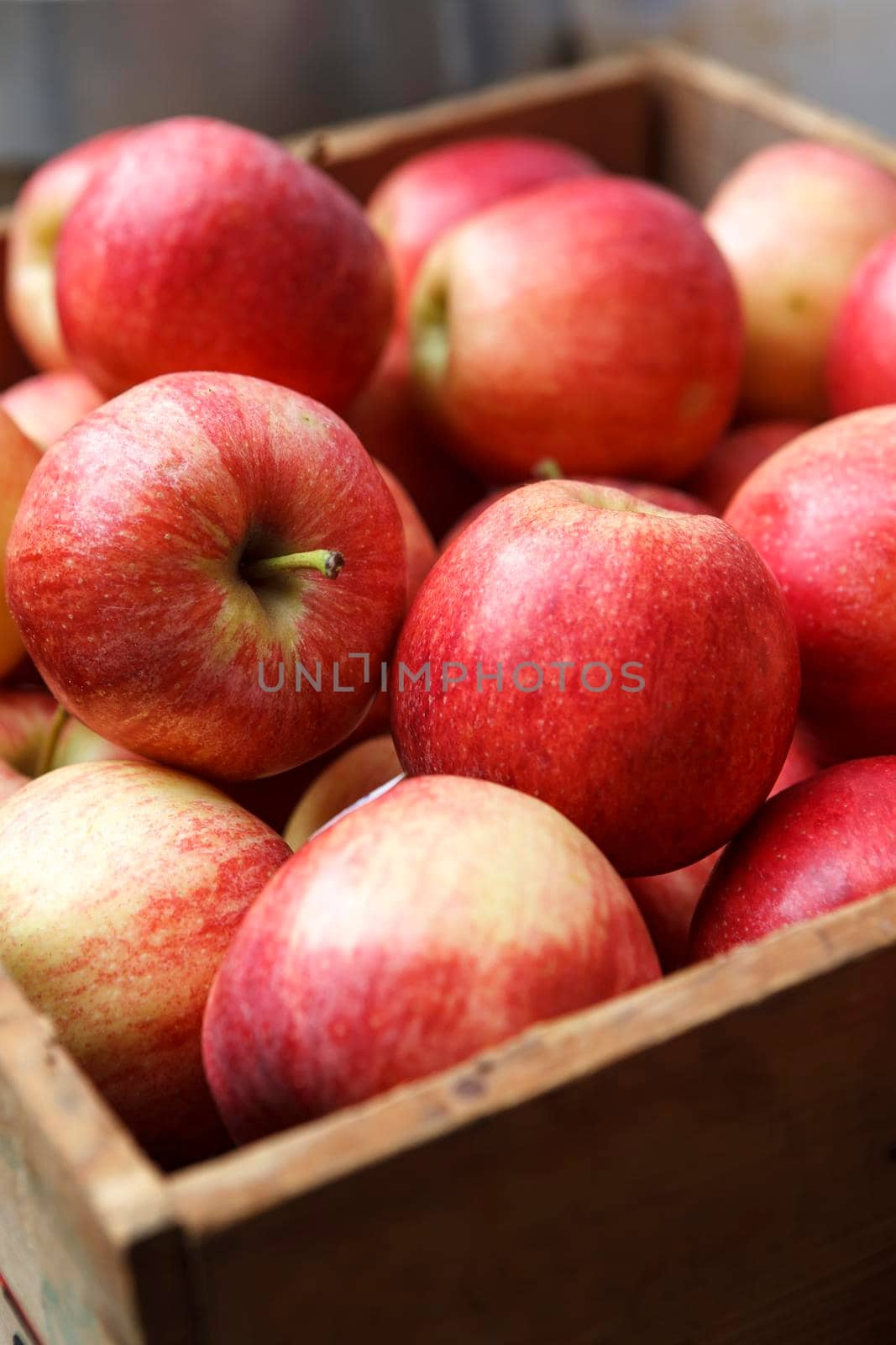 Closeup of many lower grade red apples on shelf display stand for sale in select local grocery store for background. Imperfect line of fruits and vegetables concept