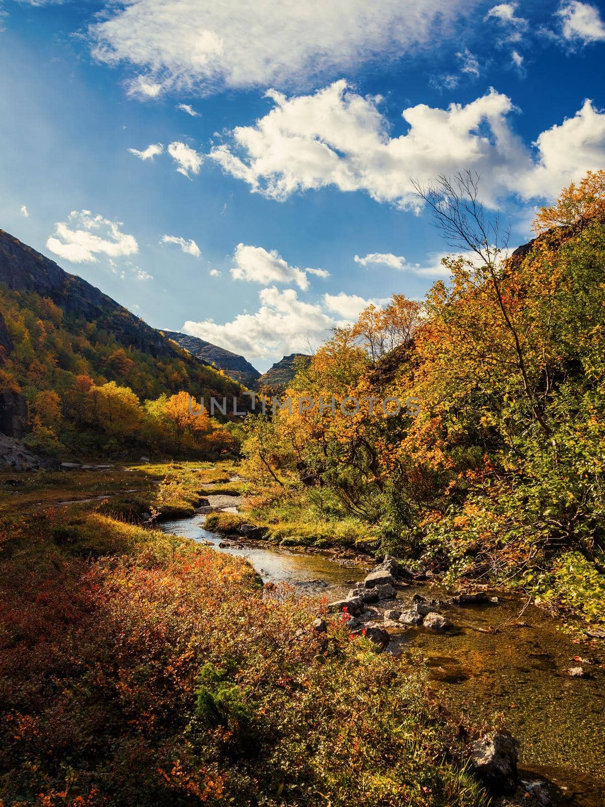 River in the Khibiny mountains in autumn. Autumn landscape by Andre1ns