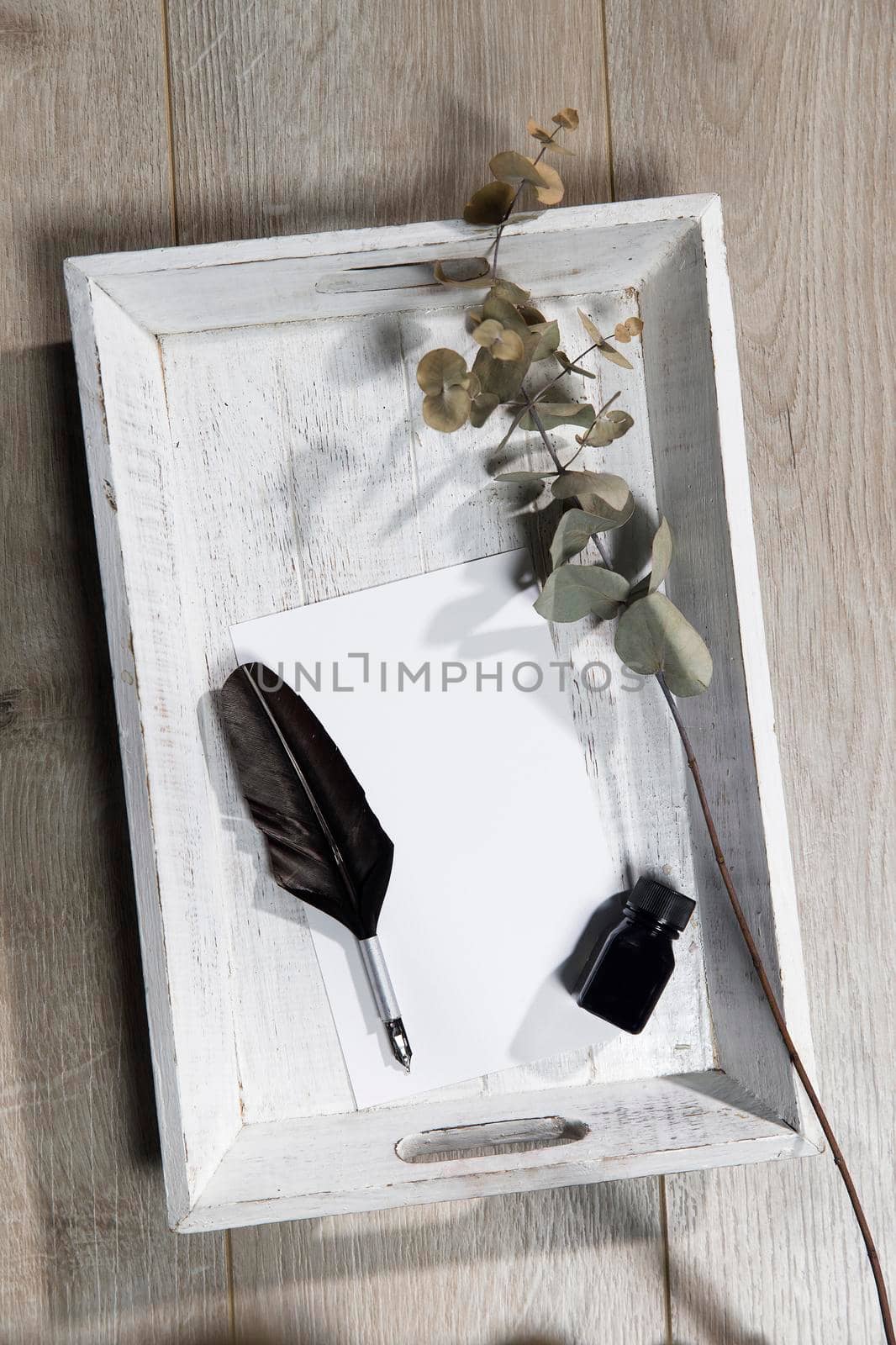 A dry branch of eucalyptus on a sheet of paper, a fountain pen and a bottle of ink are on a wooden beige tray. tray. Greeting card concept. Place for text