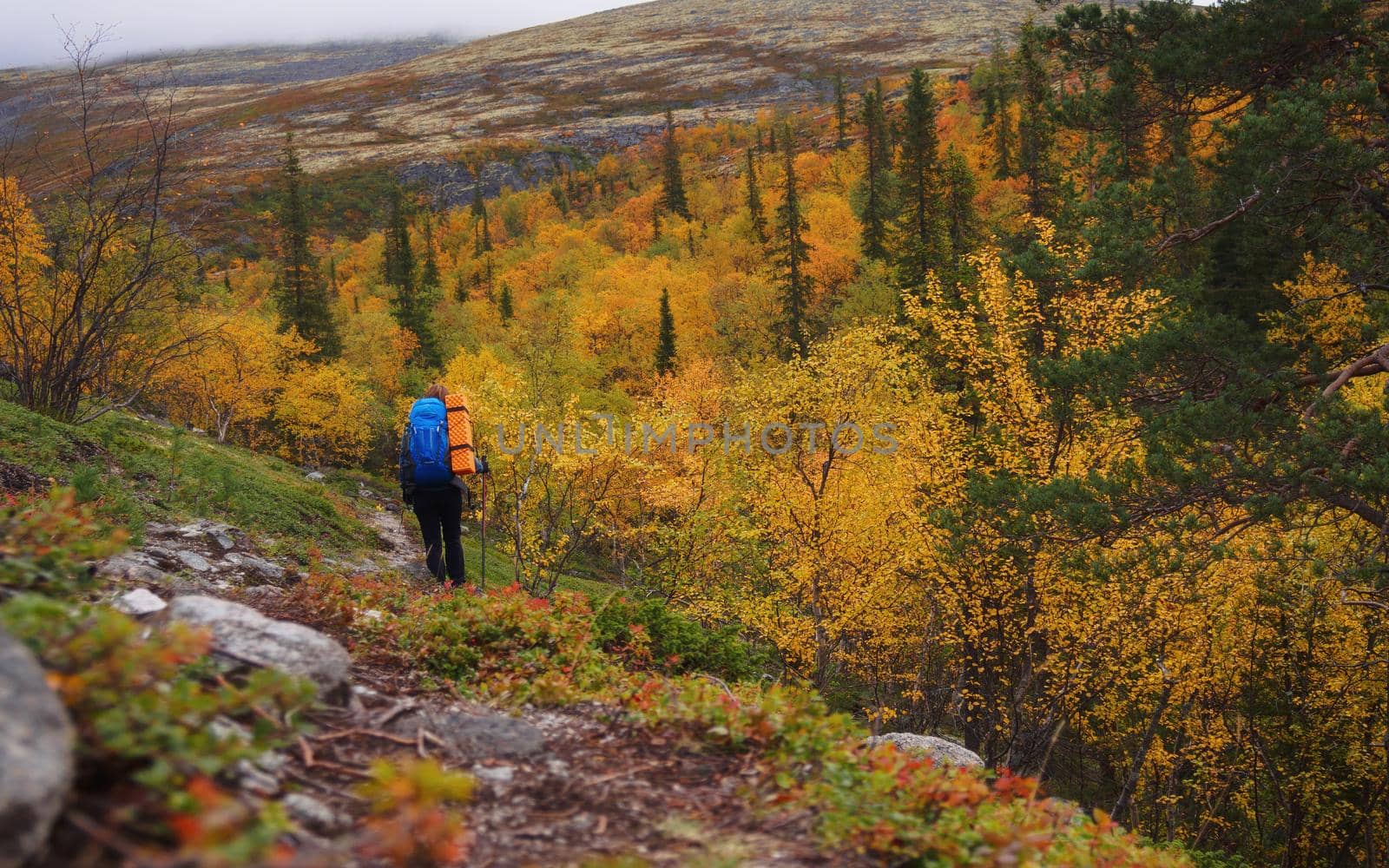 A young woman with a backpack and trekking poles in the Khibiny mountains. The concept of a healthy and active lifestyle. Girl on the background of nature mountains. photo