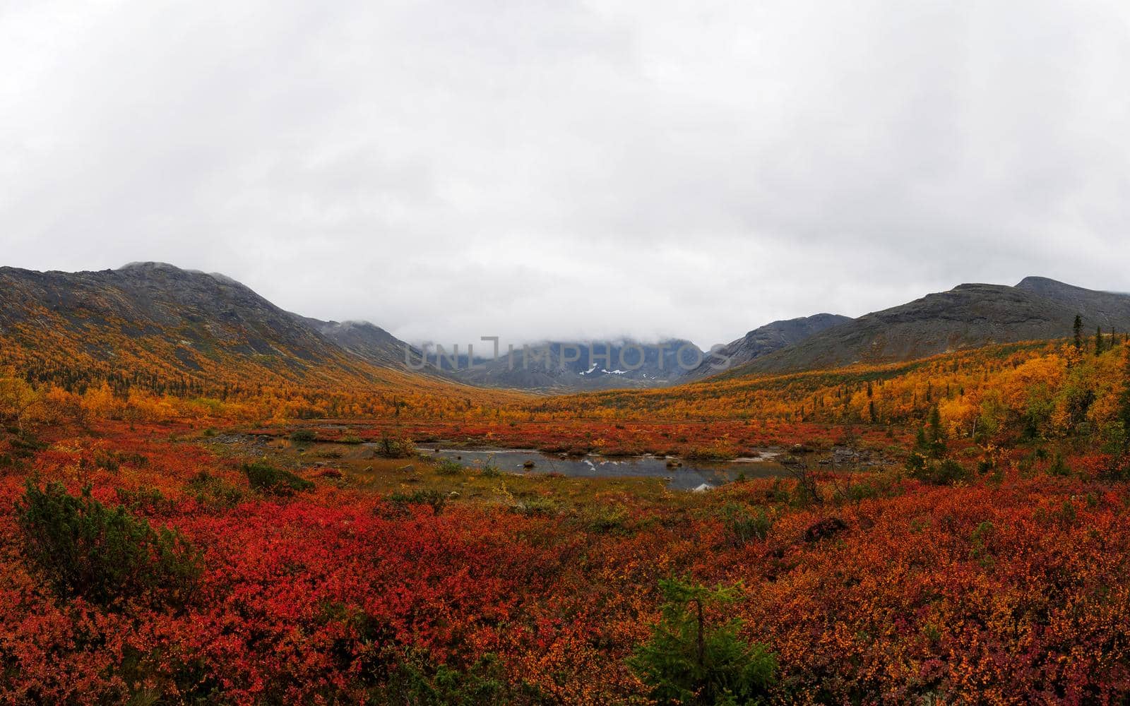 Autumn colorful tundra on the background mountain peaks in cloudy weather. Mountain landscape in Kola Peninsula, Arctic, Khibiny Mountains. photo