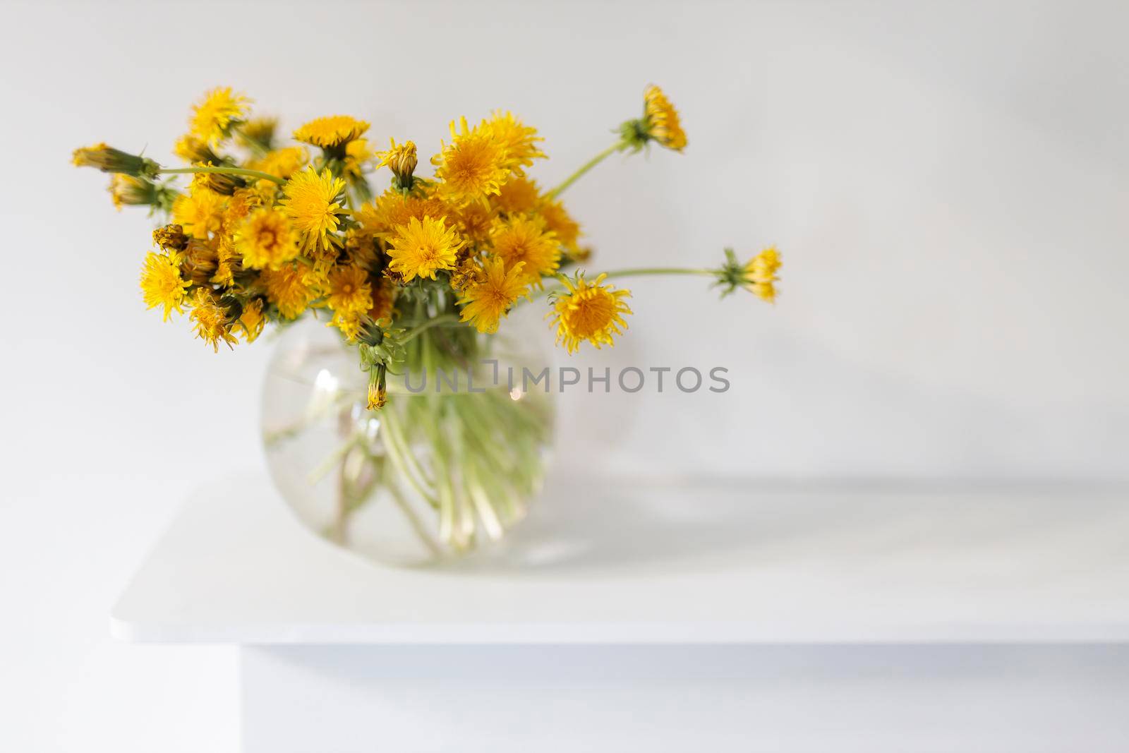 A bouquet of dandelions in a transparent glass vase. Copy space