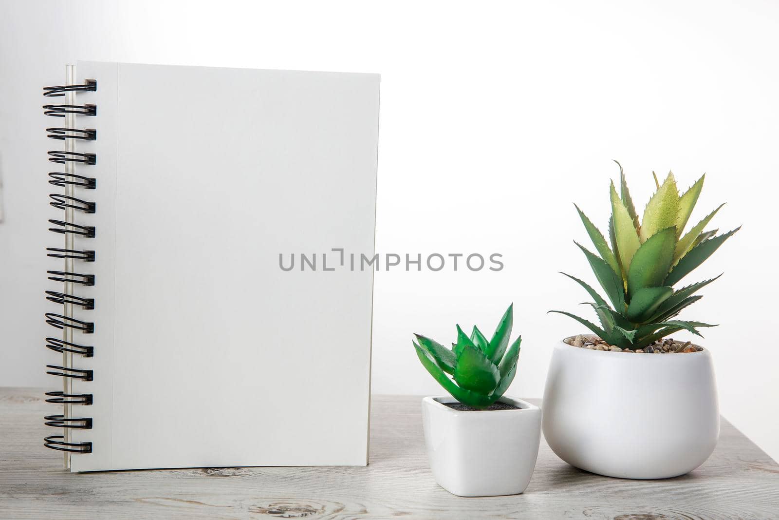Office desk wood table of the business work place, artificial plants with copy space on grey wooden table. by elenarostunova