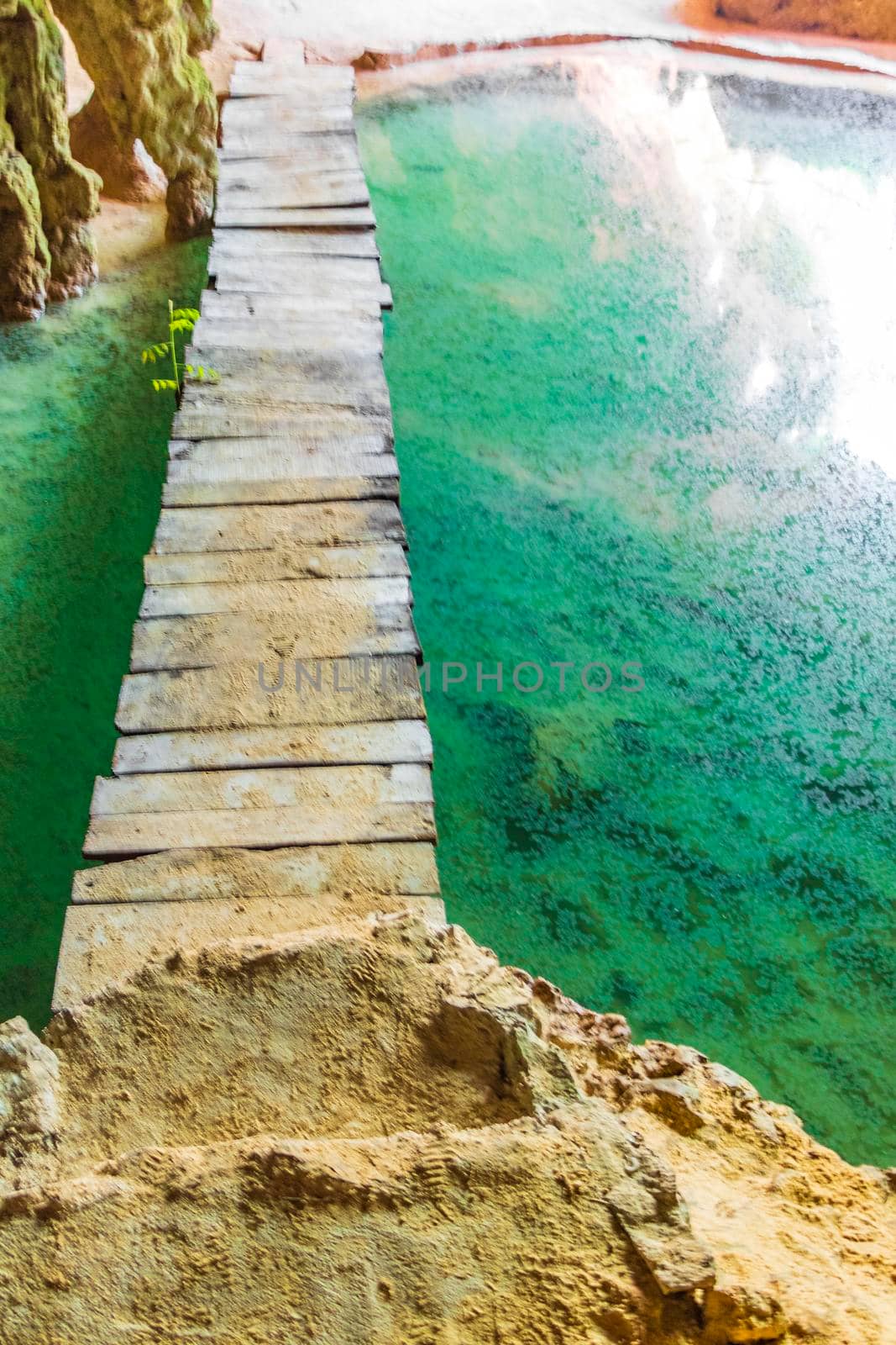 Amazing blue turquoise water and limestone cave sinkhole cenote Mexico. by Arkadij