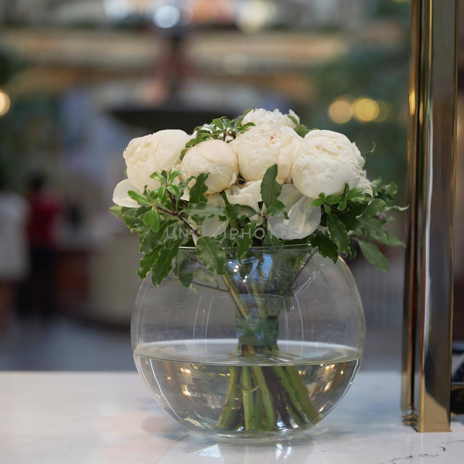 Bouquet of white peony buds with pittosporum tenuifolium branches in a round glass vase on a shop window