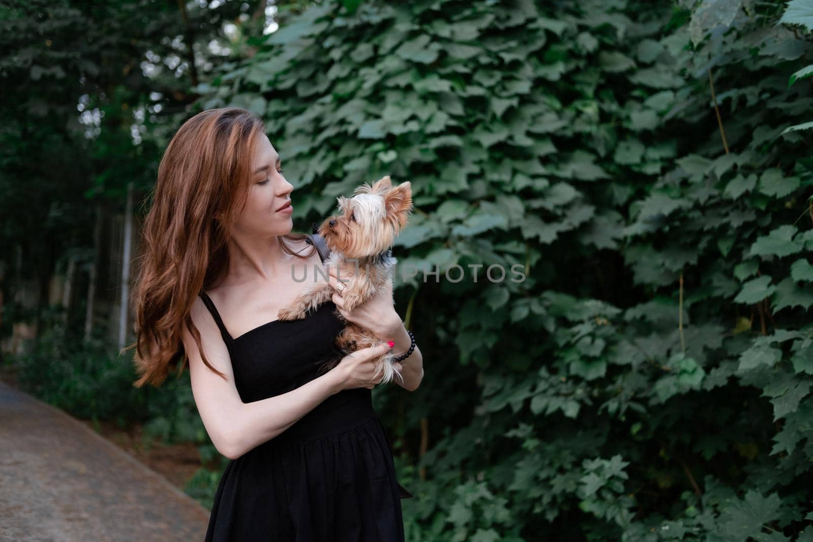 pretty brunette woman with little puppy purebred dog yorkshire terrier in park. happy carefree suburb life.