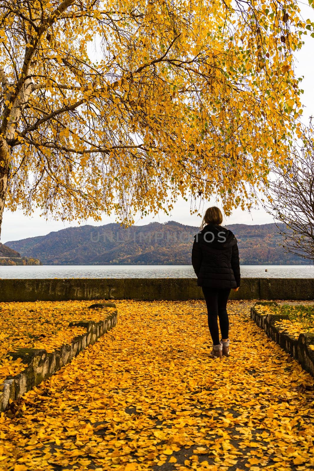 Autumn leaves fallen on alone woman walking on the autumn alley. Autumn landscape, orange foliage in a park in Orsova, Romania, 2020