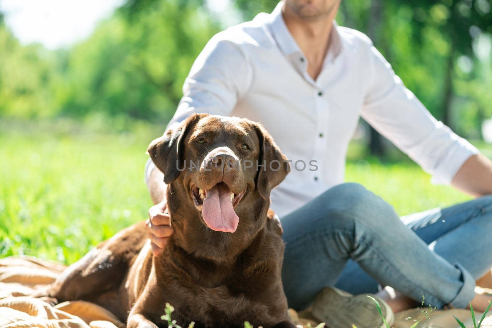 The dog lies in the park next to its owner. Spending time with friends