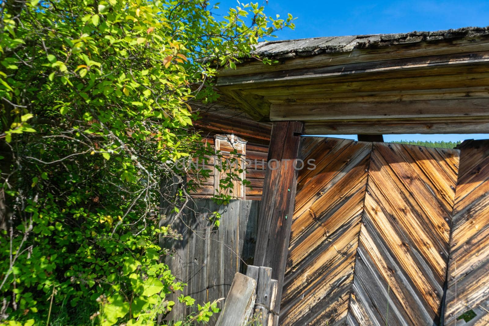 Old crooked wooden gate to the courtyard in the Siberian village.