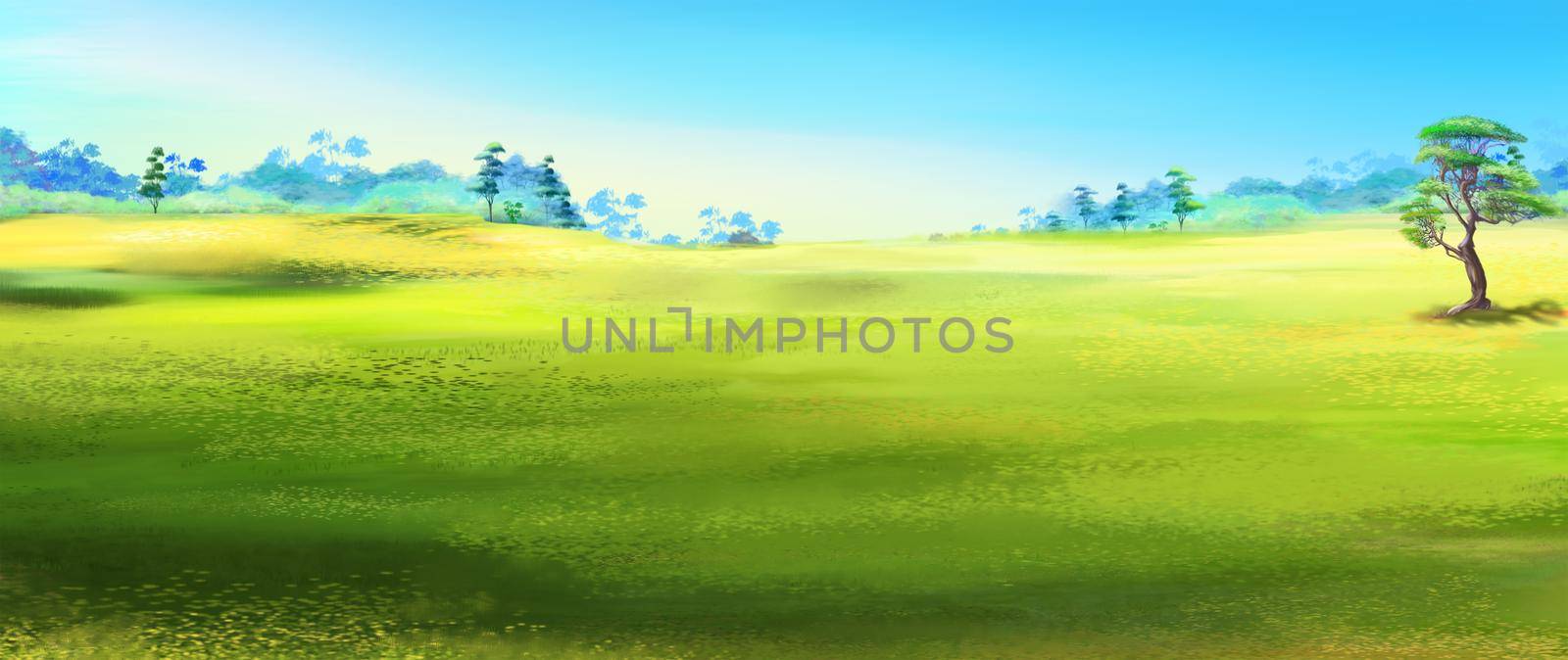 Steppe landscape on a sunny summer day. Digital Painting Background, Illustration.