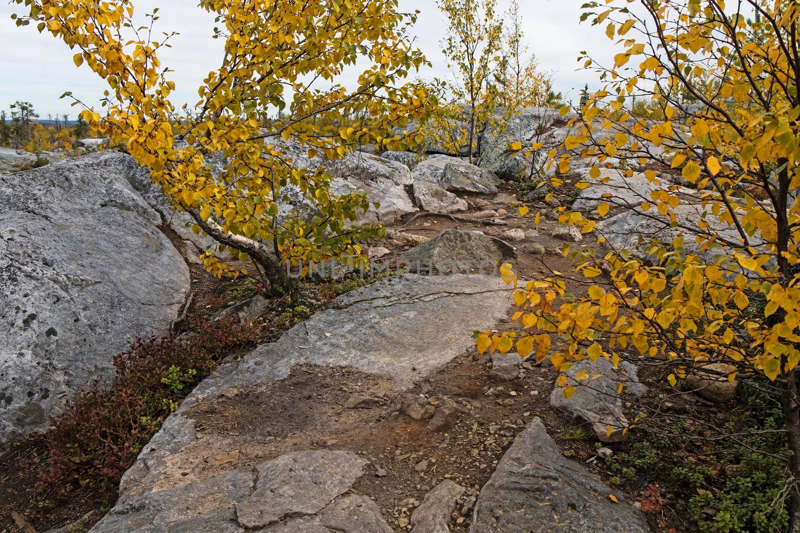 Swamp or lake with megalithic seid boulder stones, dead trees in nature reserve on mountain Vottovaara, Karelia, Russia. Autumn in montain