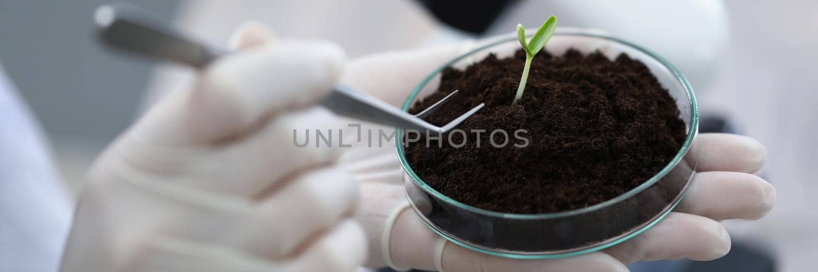 Close-up of scientist taking analysis of soil sample with young plant. Worker doing investigation in laboratory. Modern equipment, science, discovery, biology concept