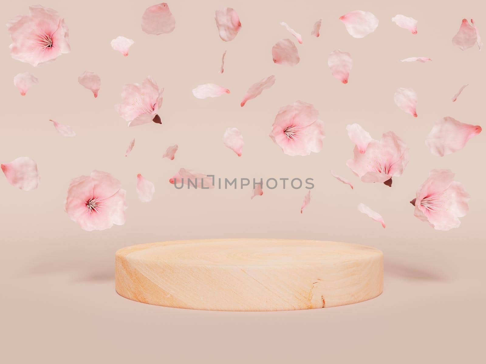 wooden cylinder for product display with falling cherry blossoms and petals. 3d rendering