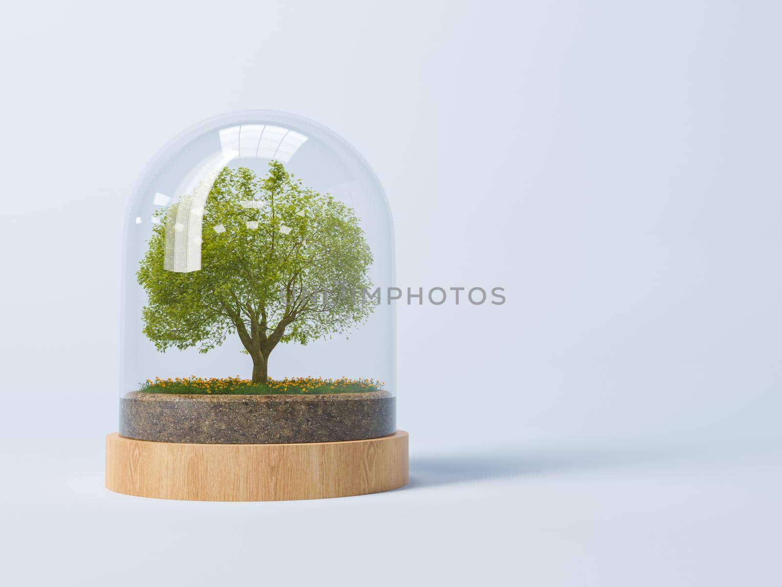3d render of green tree in glass dome by asolano