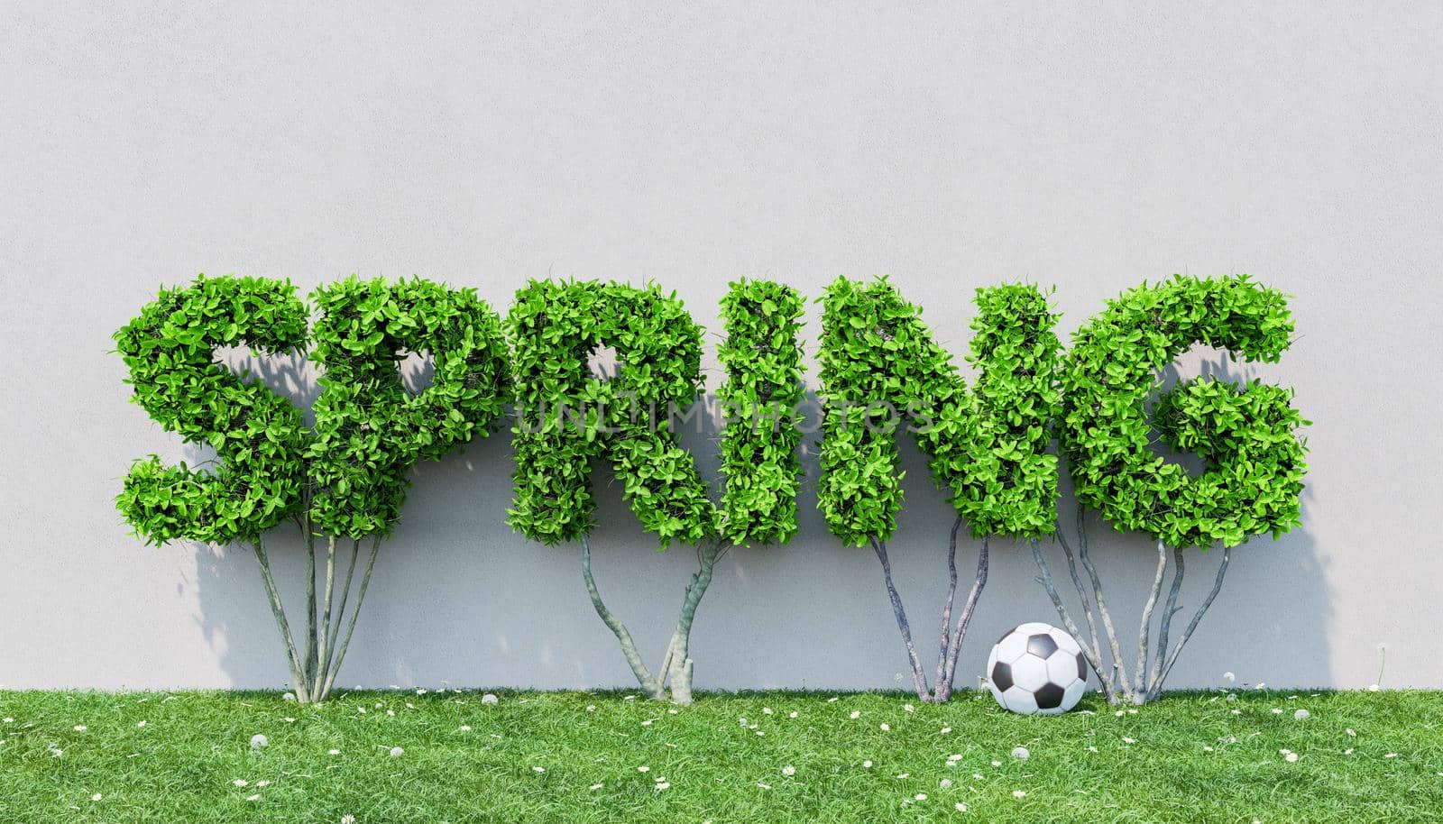 bushes sign with the word SPRING on grass and flowers with soccer ball. spring arrival concept. 3d rendering