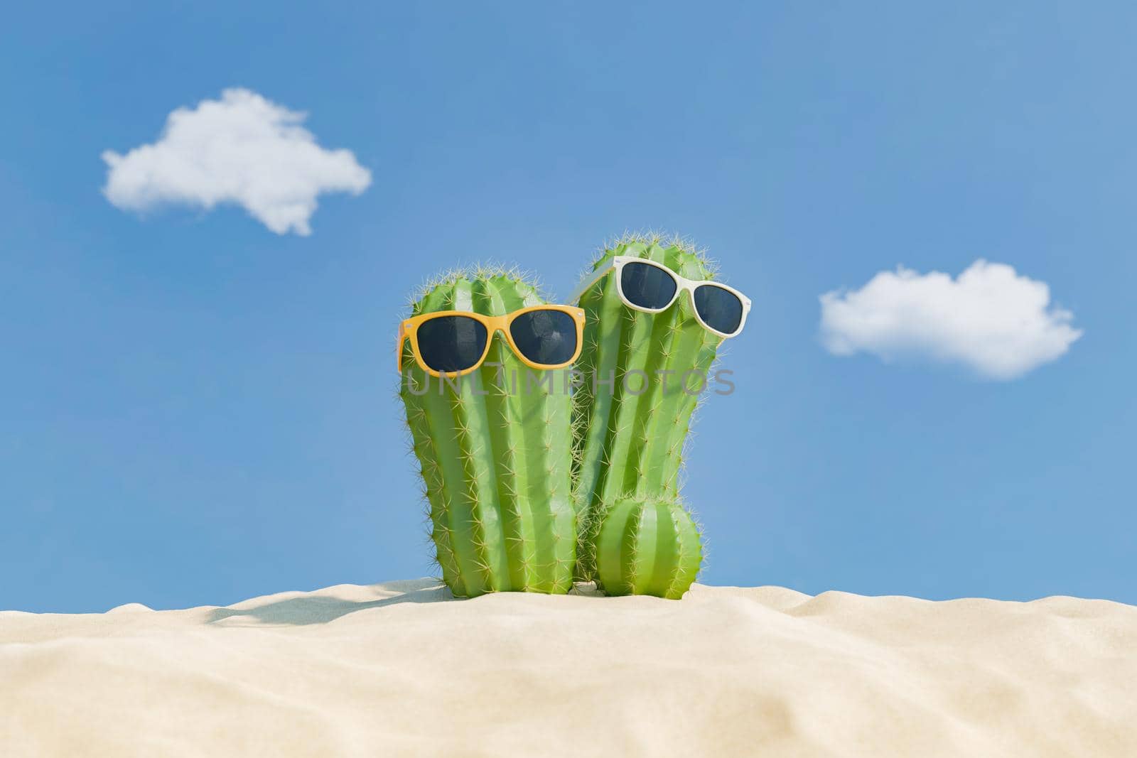 cactus with sunglasses on beach sand by asolano