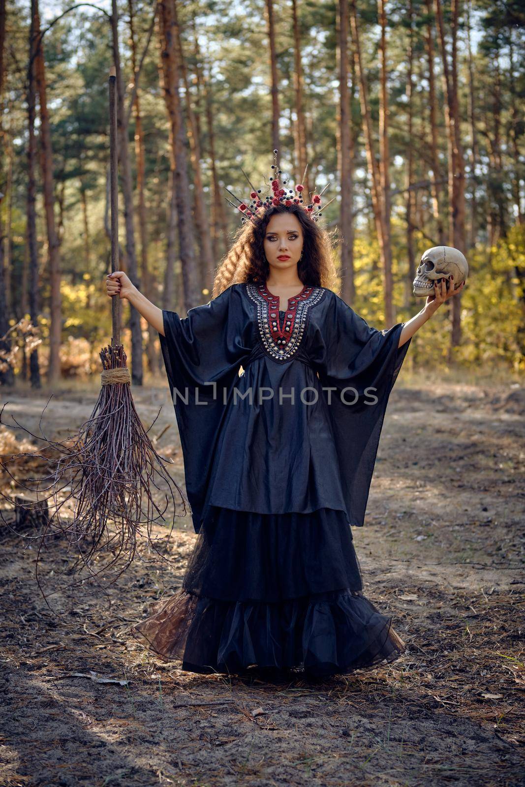 Witch in black, long dress, with red crown in her long hair. Posing with broom and skull in pine forest. Spells, magic and witchcraft. Full length. by nazarovsergey