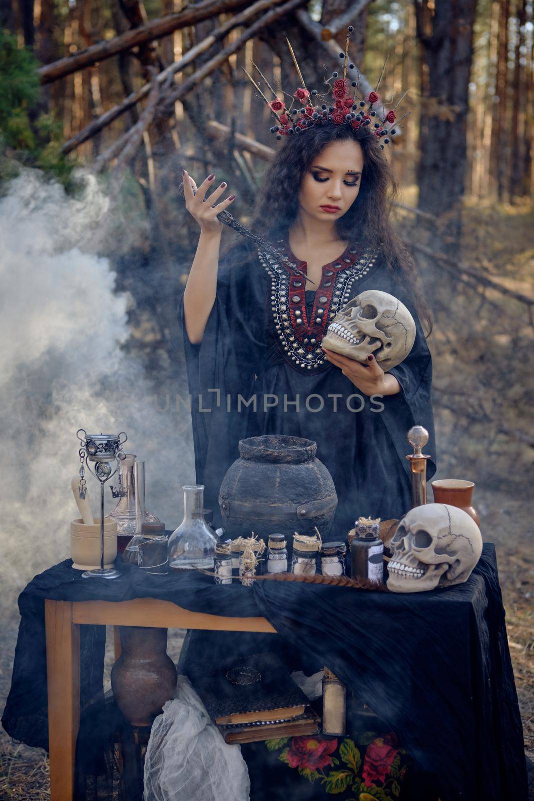 Attractive, wicked, long-haired witch in a black, long embroidered dress. There is large red crown in her brown, curly hair. She is holding a magic wand and a skull while posing in a pine forest standing by the table with accessories for spells and witchcraft, smoke. Potion is brewed in a black pot. Close-up.