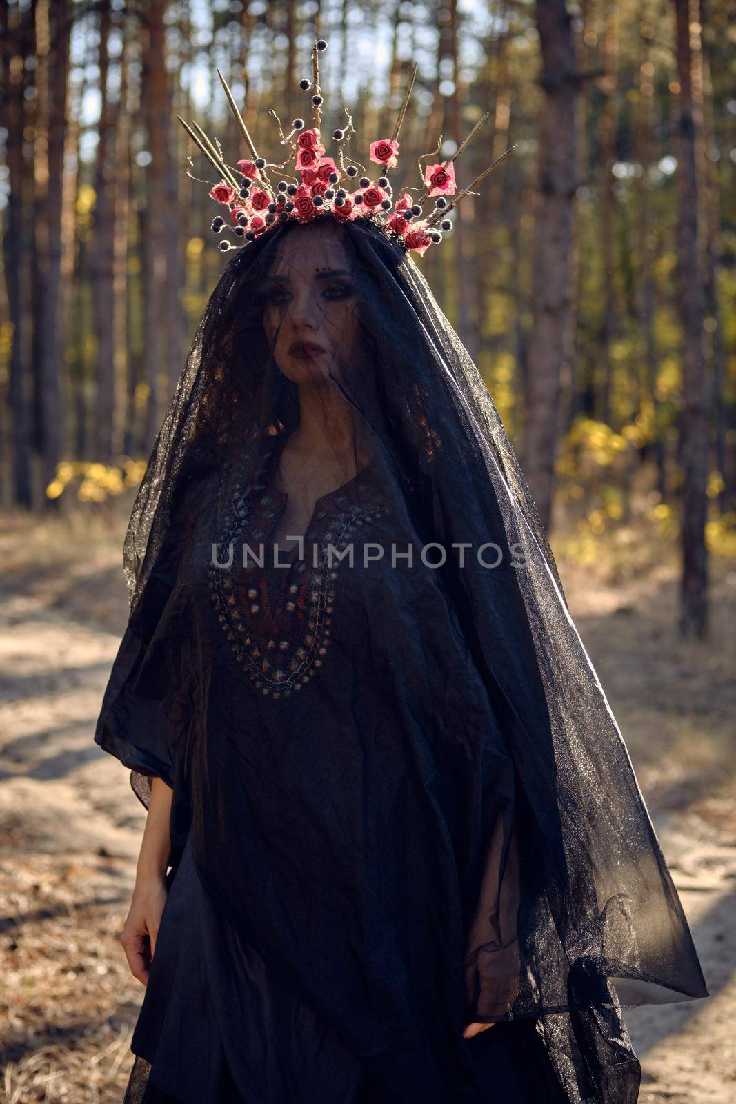 Gorgeous, wicked, long-haired witch in a black, long embroidered dress. There is large red crown in her brown, curly hair under a black veil. She is posing in a pine forest. Spells, magic and witchcraft. Close-up.