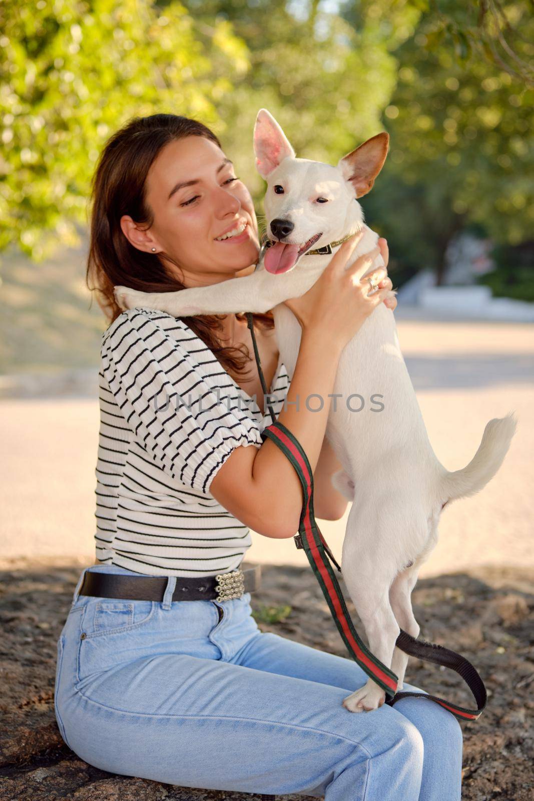 An energetic dog Parson Russell Terrier breed in a collar and on a leash is playing in a green park with his young and beautiful owner in casual clothes, she is holding him in her arms. White pup with a brown ear. Summer time or the beginning of an autumn. Nature. Pet care and training concept. Close-up.