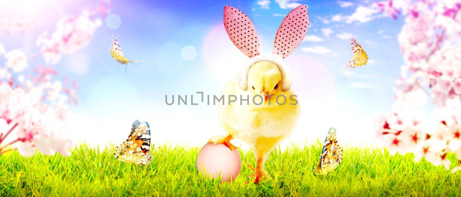 An Easter decoration with chicken. Easter holiday concept with cute chick.