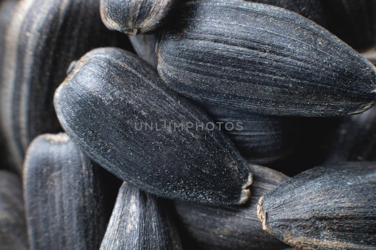 Close-up of sunflower seeds in shallow depth of field macro shot. snack food background.