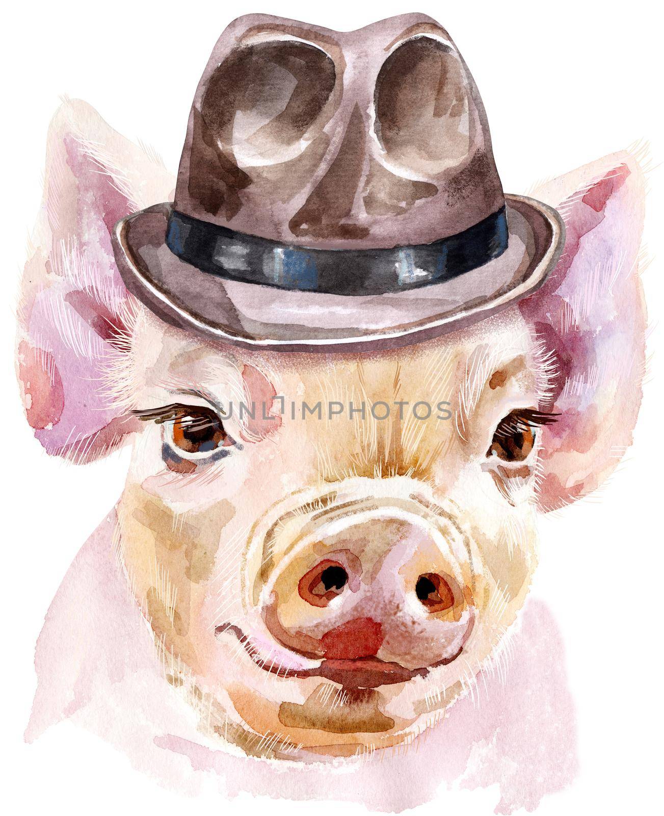 Watercolor portrait of mini pig in brown hat by NataOmsk