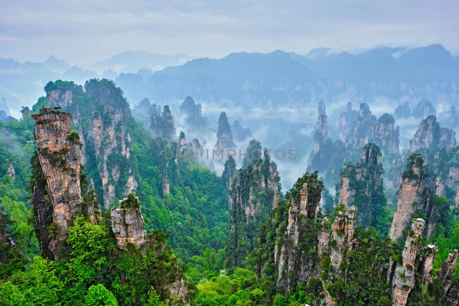 Famous tourist attraction of China - Zhangjiajie stone pillars cliff mountains in fog clouds at Wulingyuan, Hunan, China