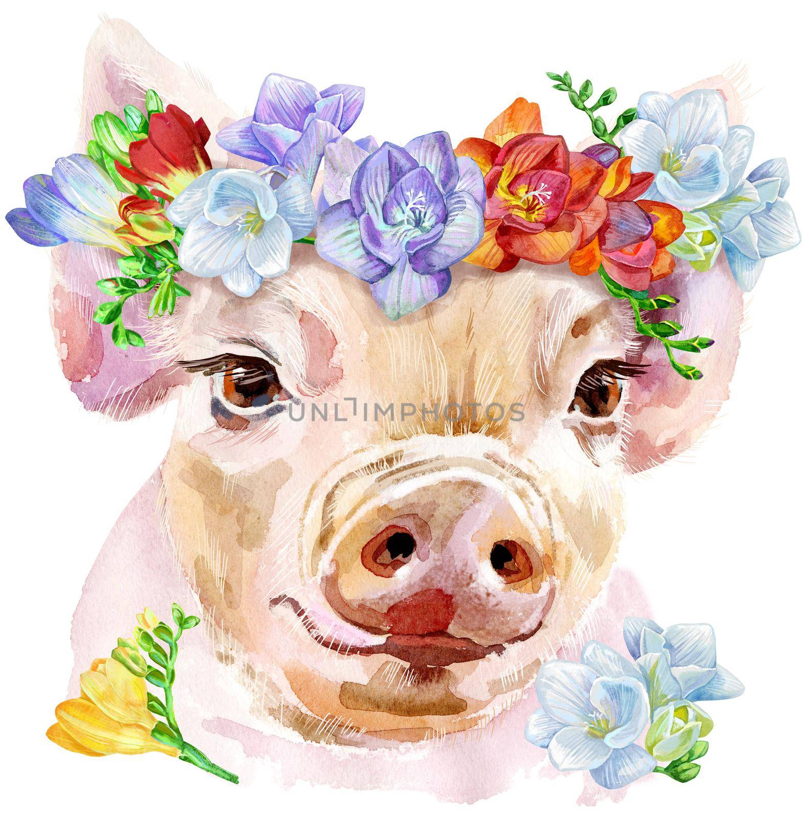 A beautiful pig in a wreath of freesia. Flowers. Watercolor illustration with splashes.