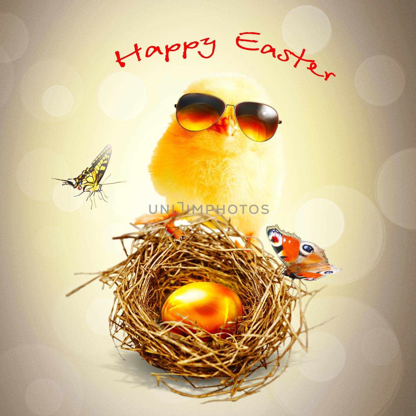 Funny cute baby chick with sunglasses and egg. by Taut