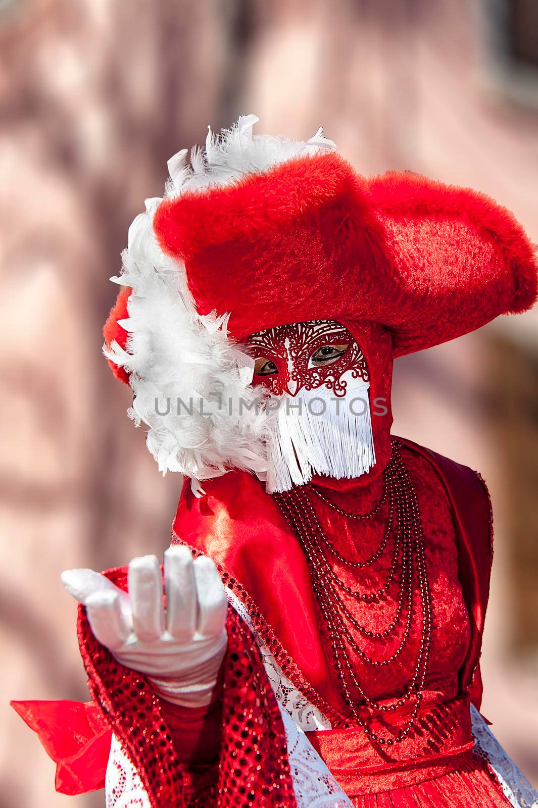 Venice carnival 2020 by Giamplume