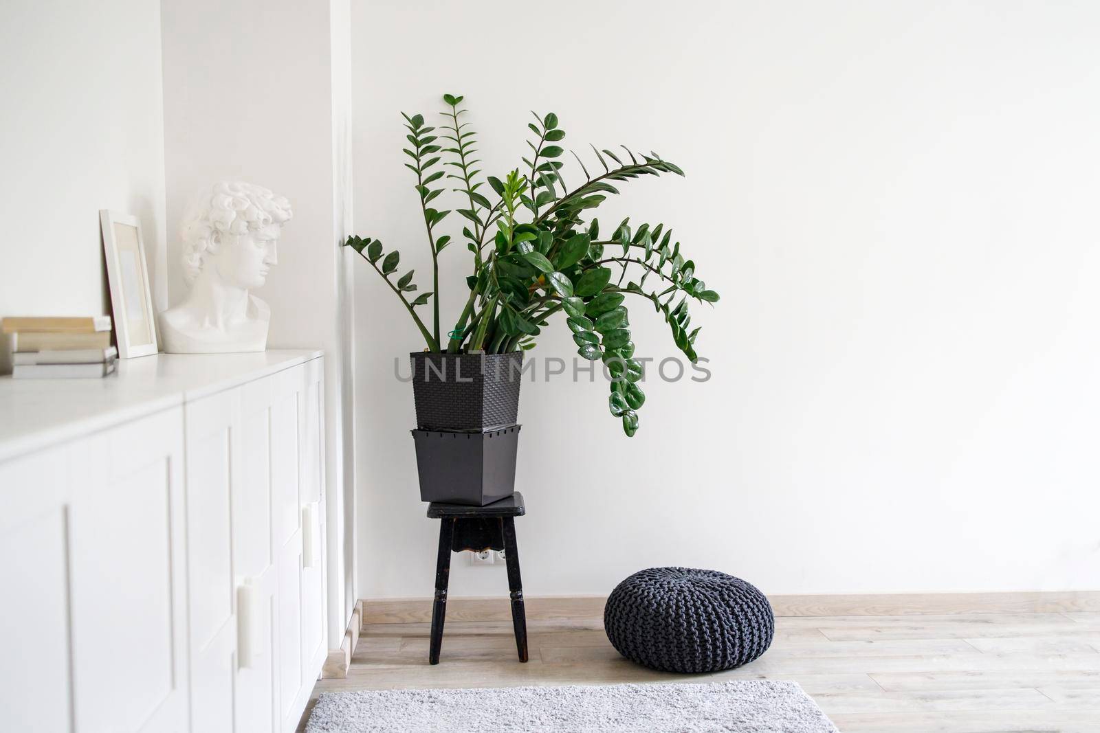 Scandinavian style room interior in white tones. A chest of drawers with a photo frame, a large indoor Zamioculcas flower on a stool in the corner, a gray curpet and a black knitted pouffe.