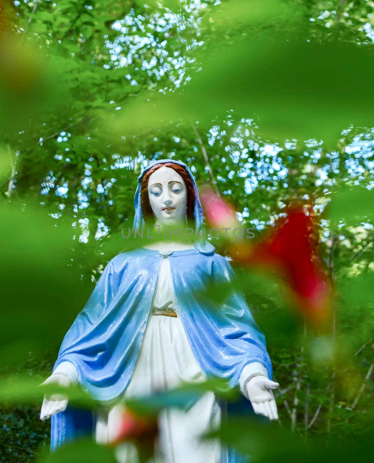Statue of Virgin Mary in the forest