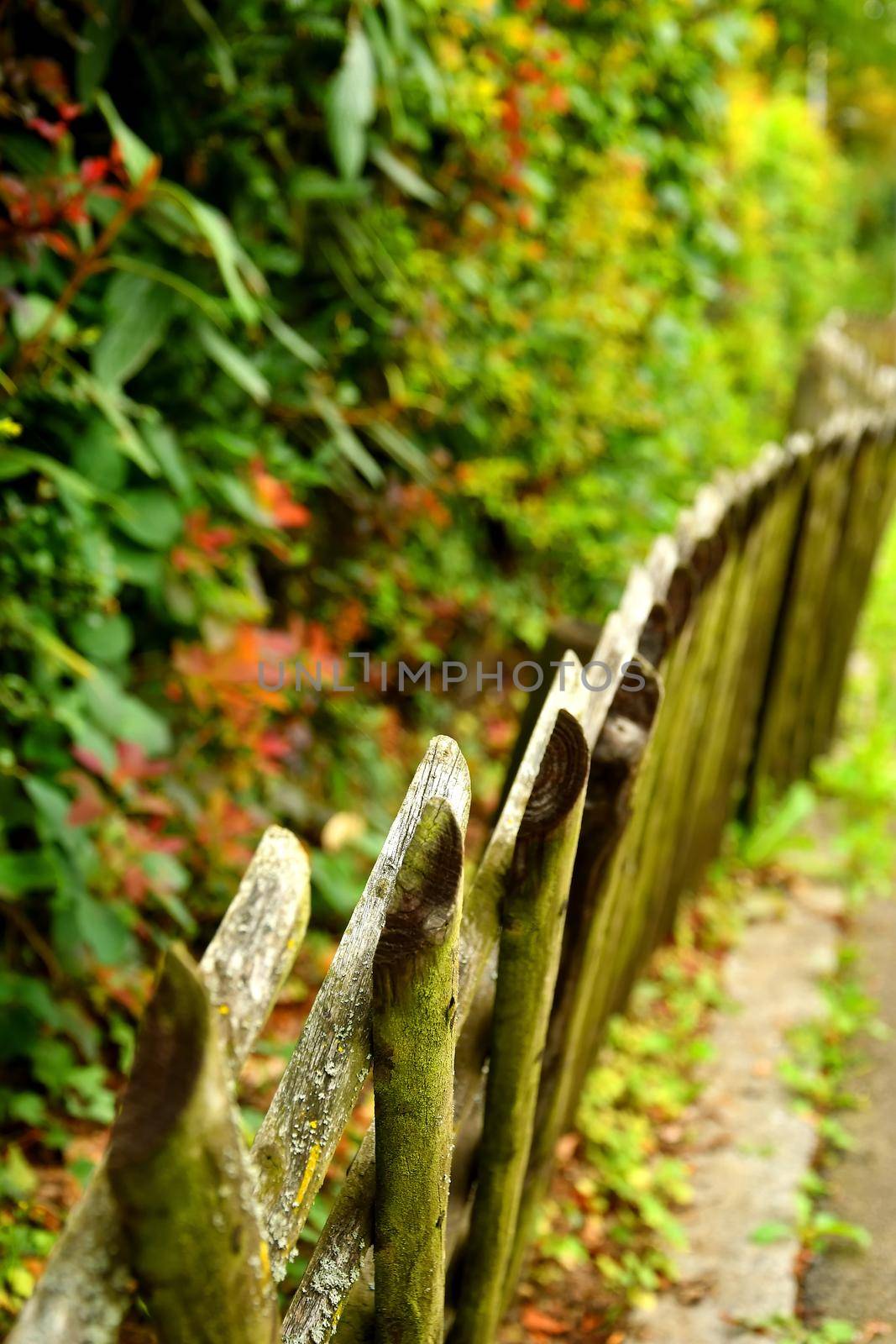 old crooked wooden fence by Jochen