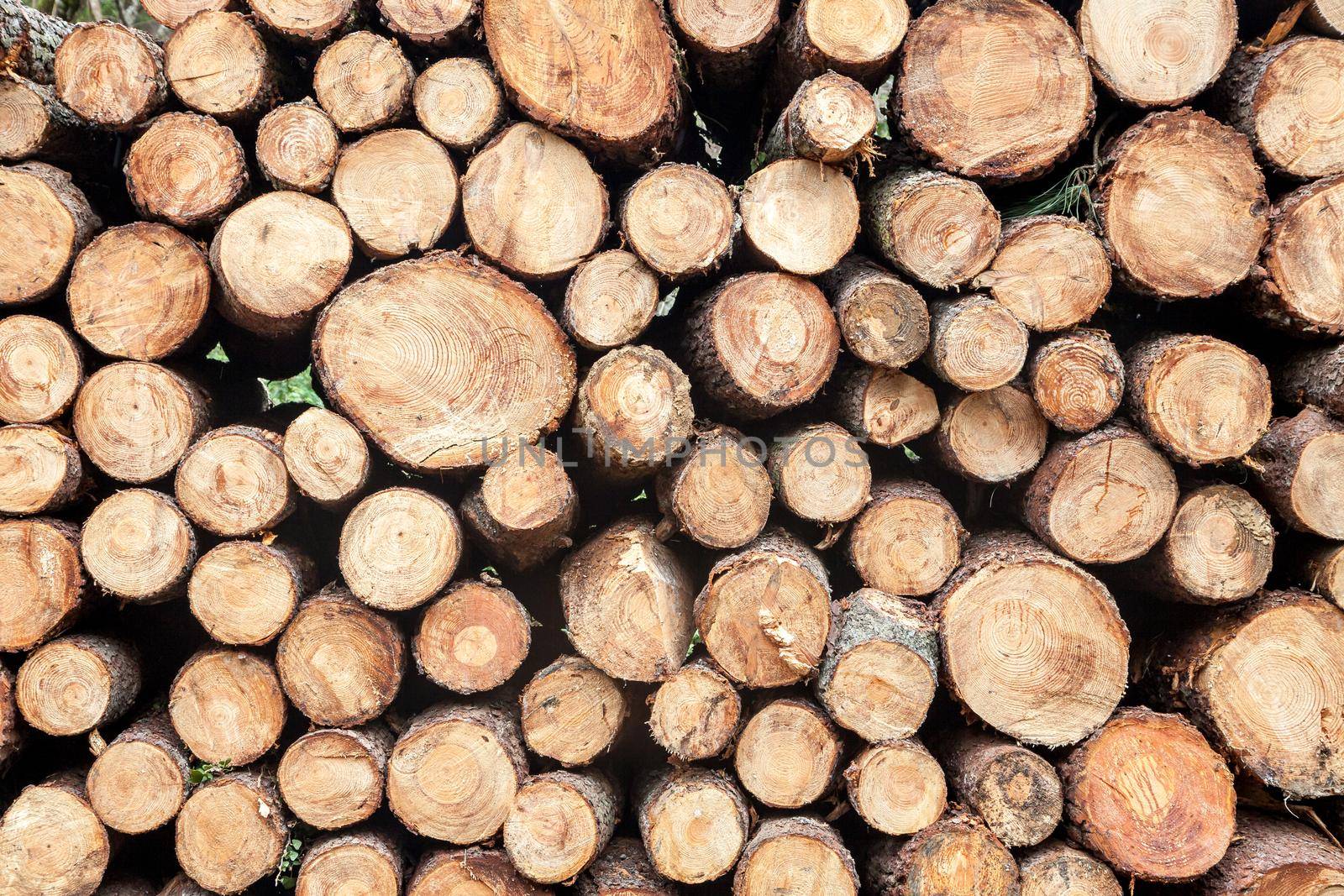 Close-up of big wood stack for background
