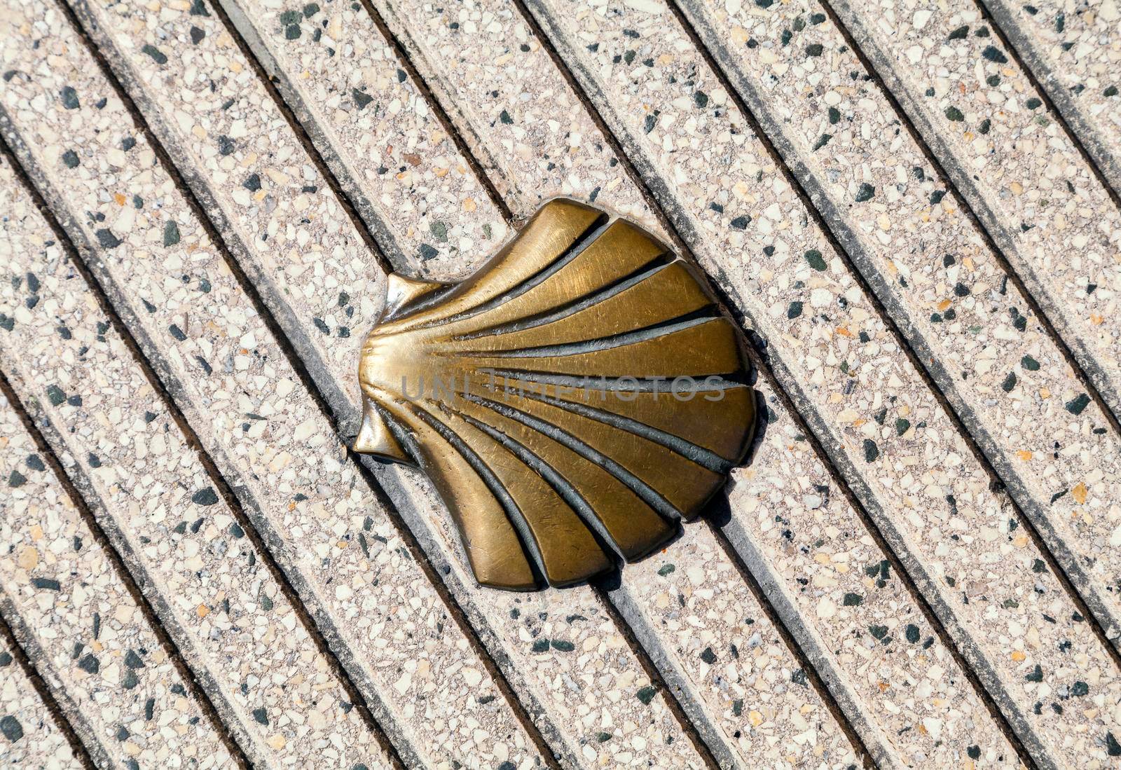 Santiago's shell on the pavement, symbol of Saint James way