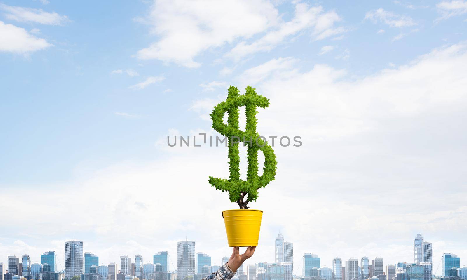 Green plant in shape of dollar sign grows by adam121