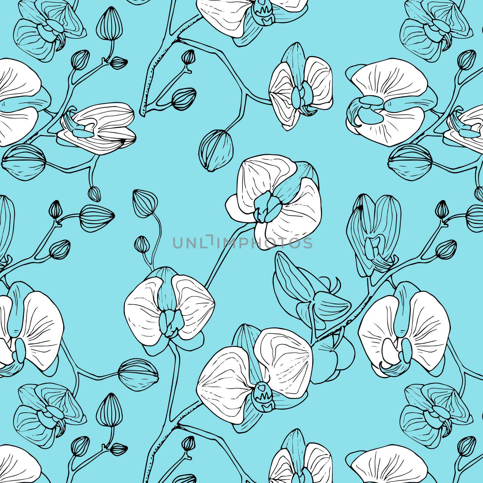 Orchids seamless pattern. illustration on a blue background