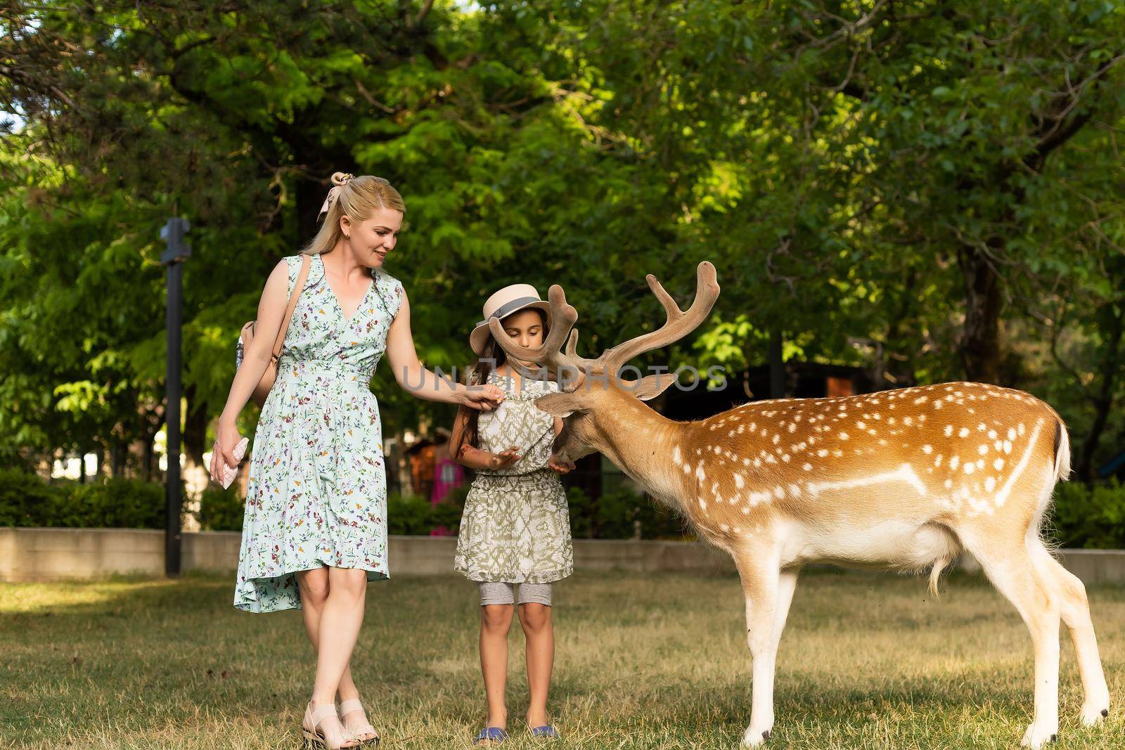 Photo of a young girl feeding deer and hugs him.