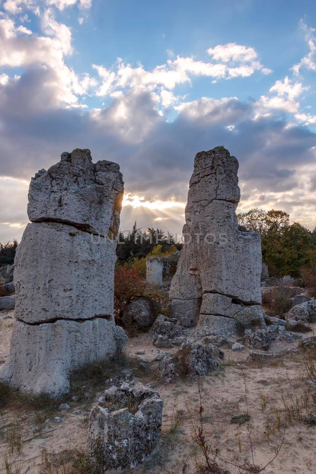 Pobiti Kamani - natural rock formations in Varna Province, Bulgaria . Standing Stones. Vertical view