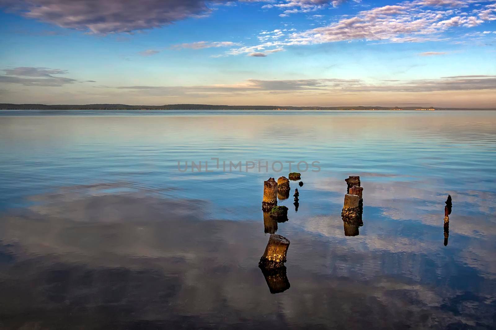 Old timber jetty pillars protruding from the water.  Dead tree stumps In the water