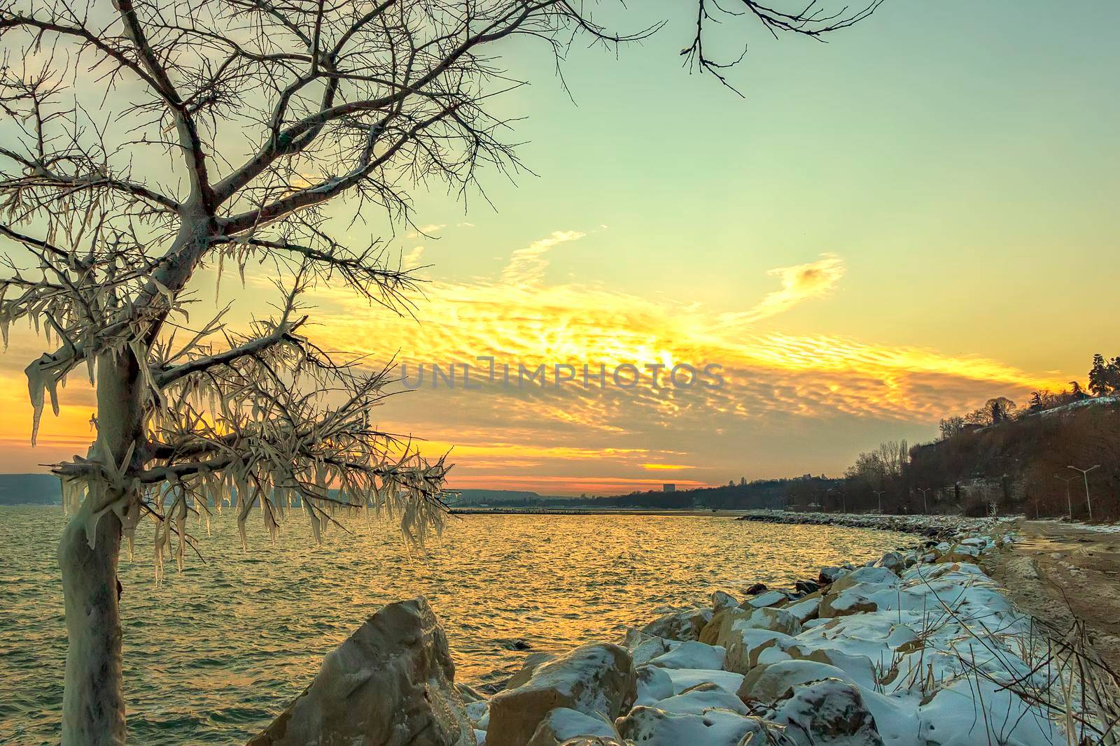 Sunrise or sunset between icicles on frozen tree branches. Winter landscape 