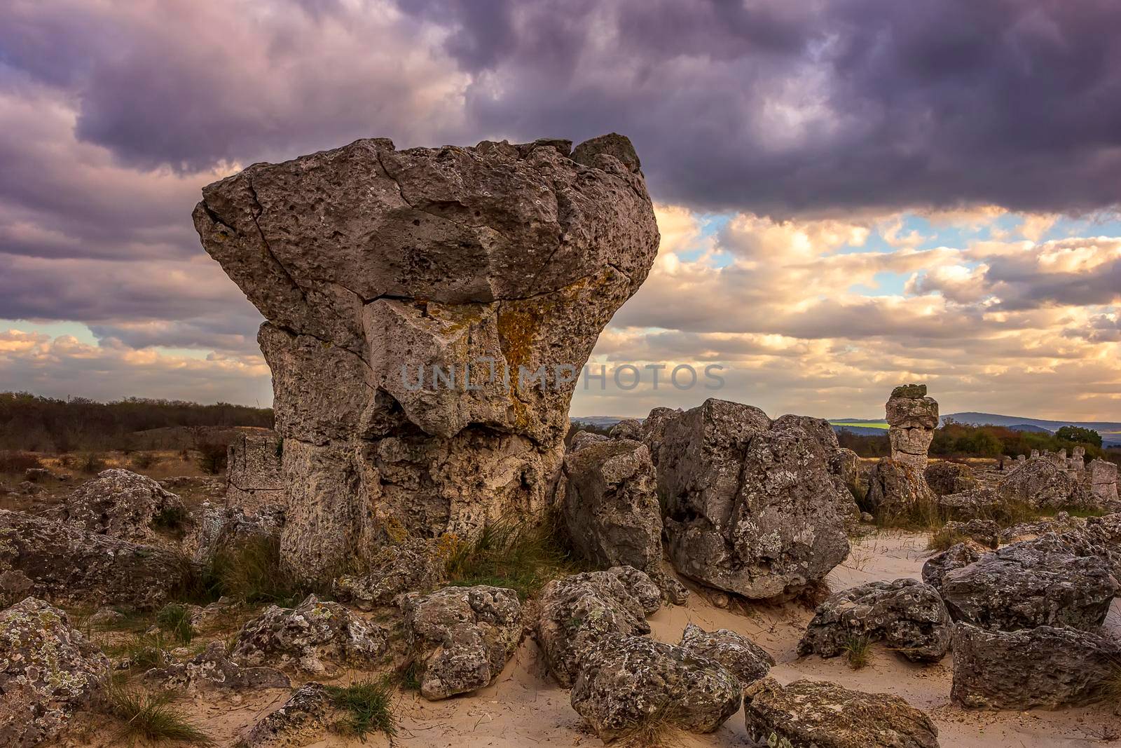 Pobiti Kamani - natural rock formations in Varna Province, Bulgaria . Standing Stones.