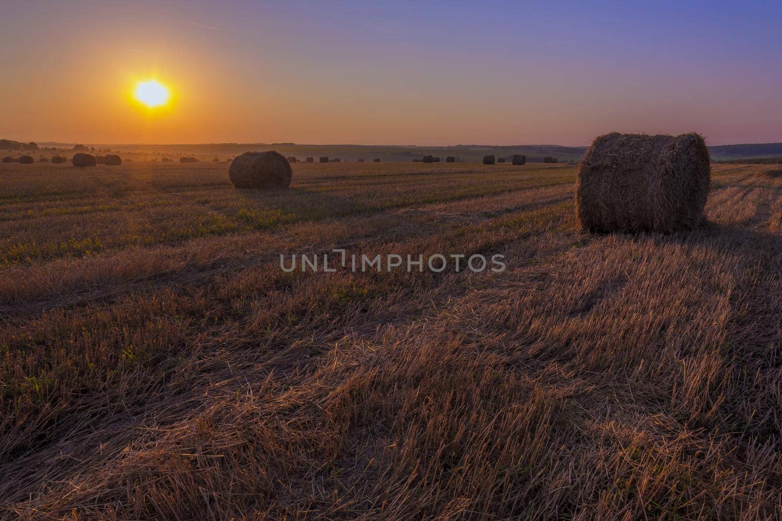 rick field in golden sunset light atmosferic wide angle shot