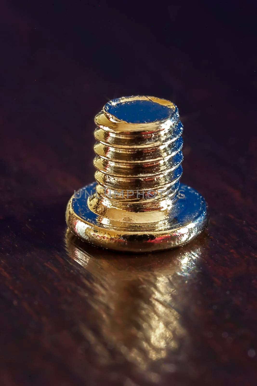 Close up of small screw. Vertical view