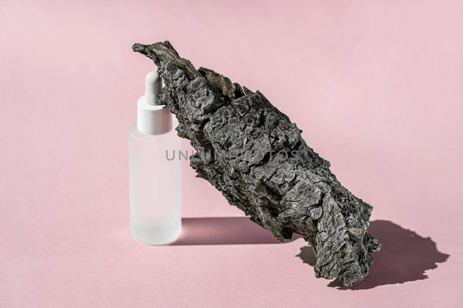 Serum cosmetic bottle mockup with bark tree on pink background, shadow from sun, natural light from windows. Transparent liquid product in glass bottle, product presentation by photolime