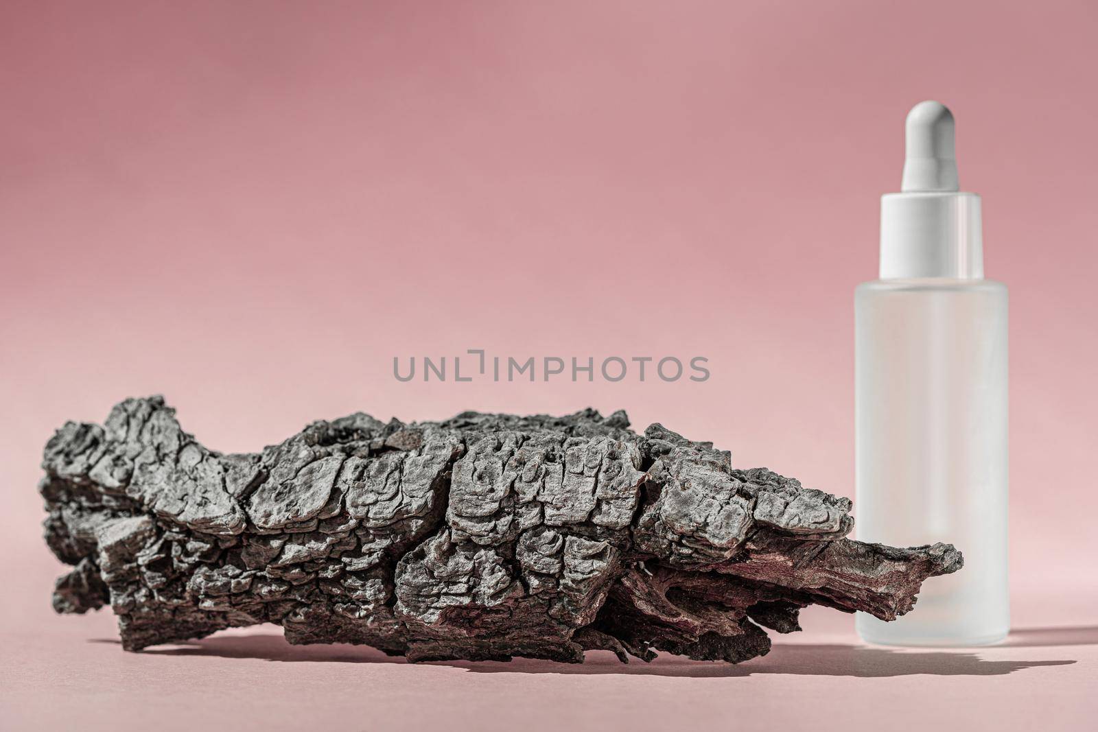 Serum oil with collagen and peptide in white transparent bottle with dropper on pink backdrop with bark tree. Skincare beauty treatment medical skincare mockup packaging liquid cosmetic product