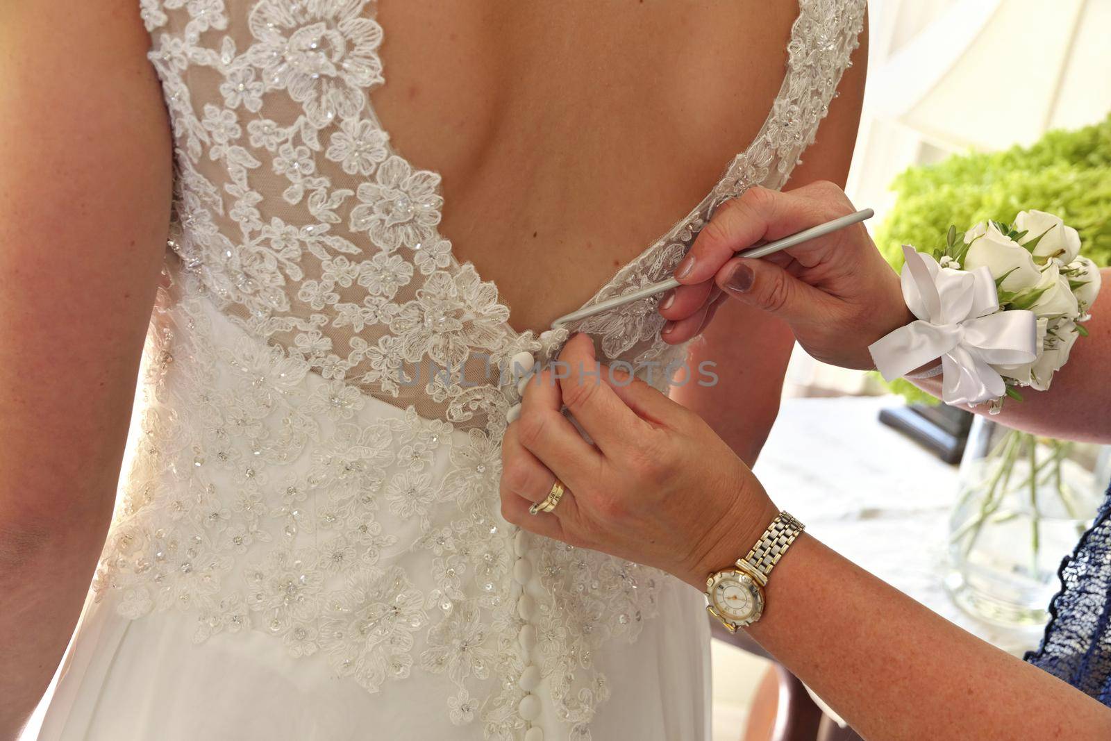 Close up of Hands Doing Final Buttoning of Bride's Wedding Dress by markvandam