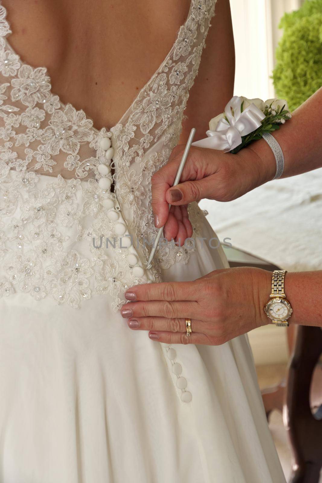 Close up of Hands Doing Final Buttoning of Bride's Wedding Dress by markvandam