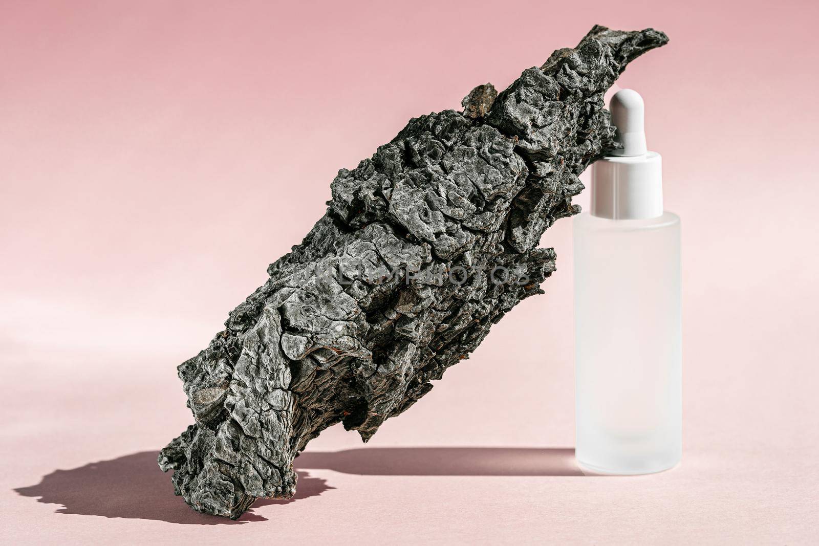 Serum cosmetic bottle mockup with bark tree on pink background, shadow from sun, natural light from windows. Transparent liquid product in glass bottle, product presentation by photolime